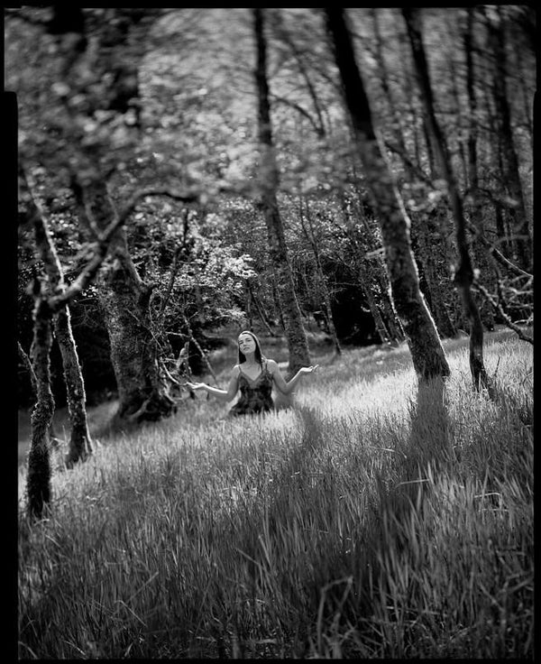 Bergger Pancro 400 5x7 (Expired 12/2021)