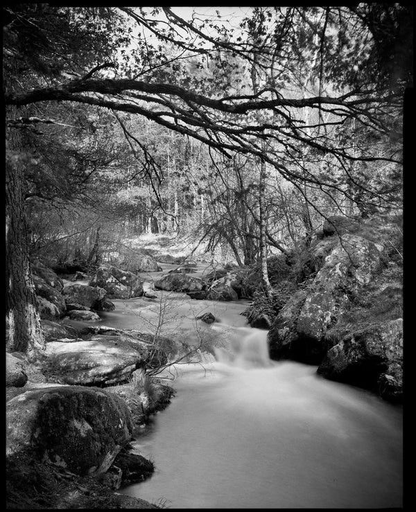 Bergger Pancro 400 5x7 (Expired 12/2021)